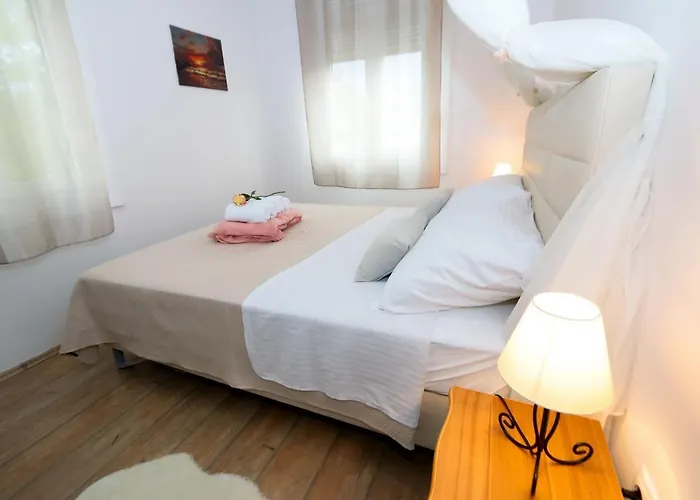 Rosa Solis ザダル